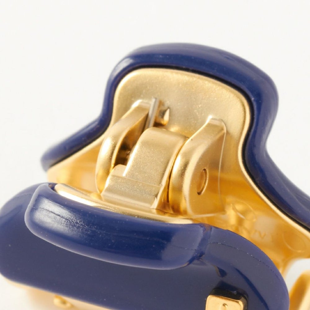 アレクサンドル ドゥ パリ バンスクリップ ミニクリップ ICCXS-14338-02 選べるカラー ALEXANDRE DE PARIS