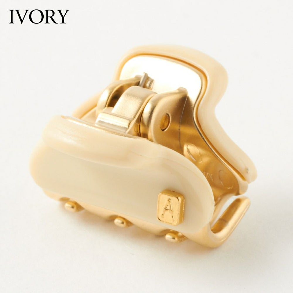 アレクサンドル ドゥ パリ バンスクリップ ミニクリップ ICCXS-14338-02 選べるカラー ALEXANDRE DE PARIS