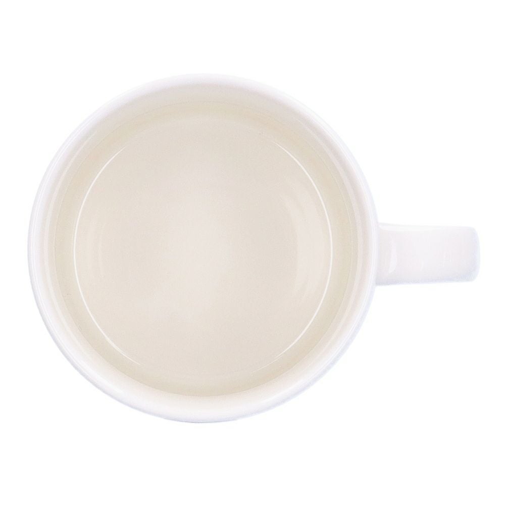 アラビア ARABIA マグカップ ブラック パラティッシ　240ml