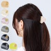 アレクサンドル ドゥ パリ ALEXANDRE DE PARIS バンスクリップ ヘアクリップ Sクリップ TIMELESSVENDOME CLIP S ICC45 14339 02